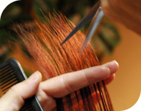 Női és Férfi Fodrászat